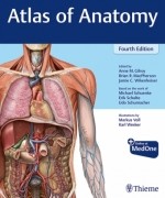 Atlas of Anatomy, 4e