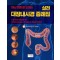 아는 만큼 잘 보이는 실전 대장내시경 증례집