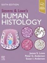 Stevens & Lowe's Human Histology 6e