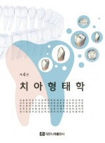 치아형태학 4판