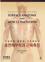 표면해부학과 근육촉진