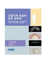 근골격계 초음파 단면 해부학