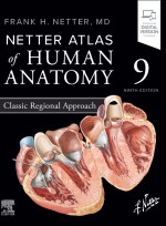 Netter Atlas of Human Anatomy 9e-Classic Regional Approach