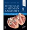 Netter Atlas of Human Anatomy 9e- A Systems Approach