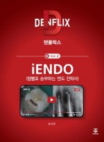 덴플릭스 - iENDO (템빨로 승부하는 엔도 전략서)