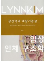 임상 인체 구조학 : 장간막과 내장기관절