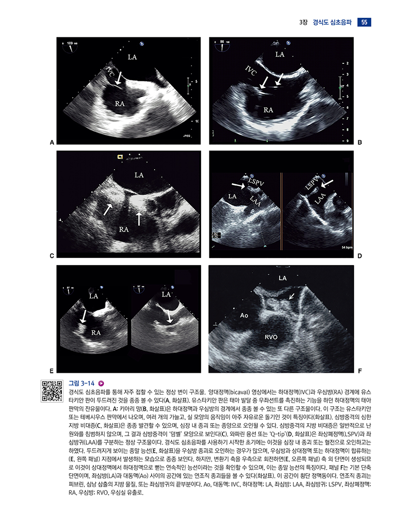 에코매뉴얼 4/판