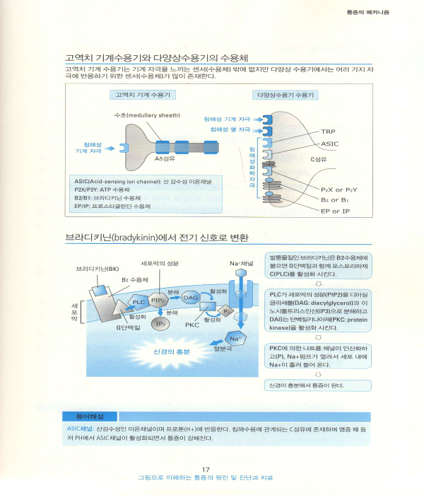 통증의 원인 및 진단과 치료 (그림으로 이해하는)