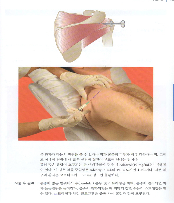 근골격계 질환에 대한 주사법-Injection Techniques in Musculoskeletal Medicine,4/e