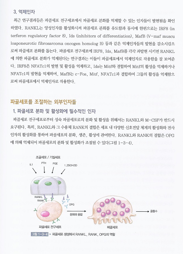 골다공증 5판