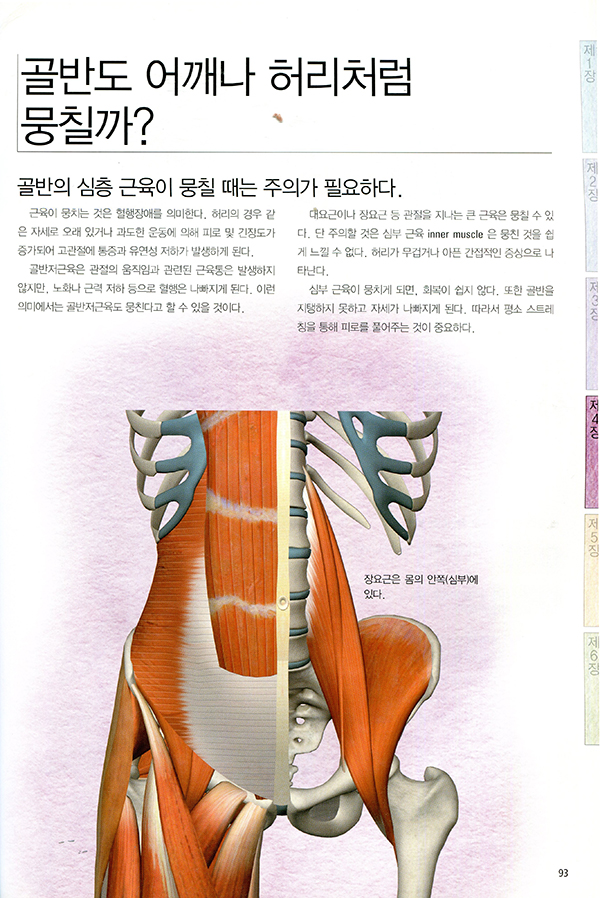 사진과 그림으로 배우는 골반 교정운동