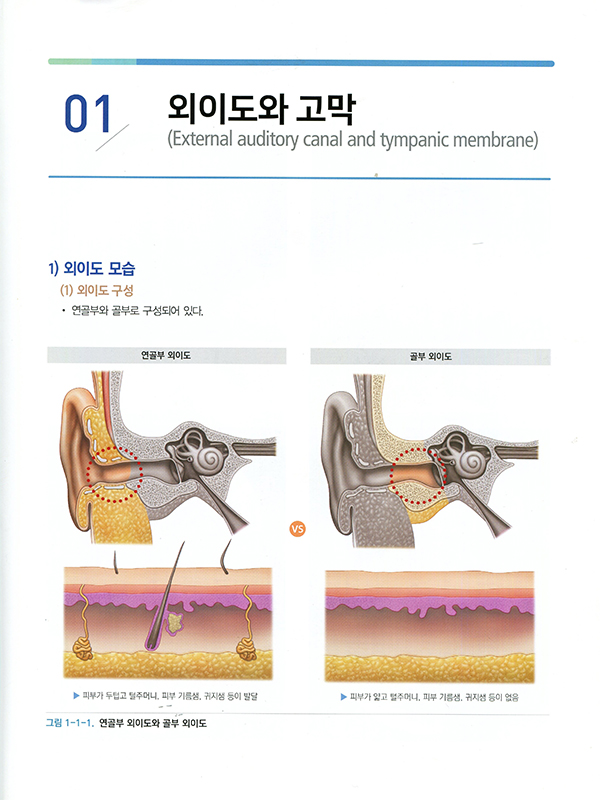 사진으로 공부하는 이비인후과학 (한의학)