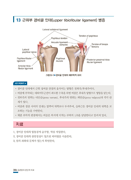 그림과 사진으로 보는 질환별 통증치료 Essential