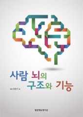 사람 뇌의 구조와 기능 