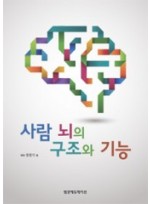 사람 뇌의 구조와 기능 