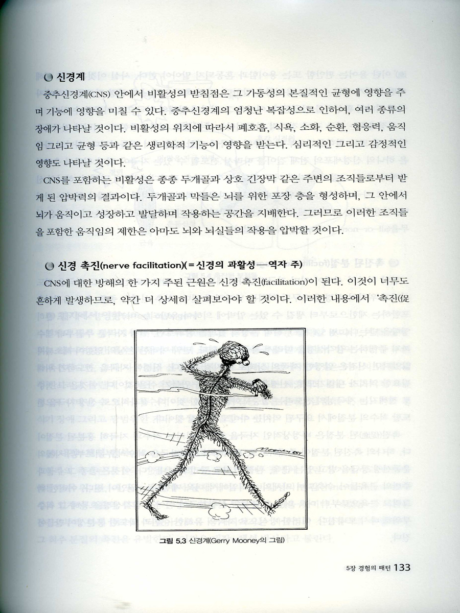 인체의 내적 지혜 건강의 필수요소인 두개천골 접근법