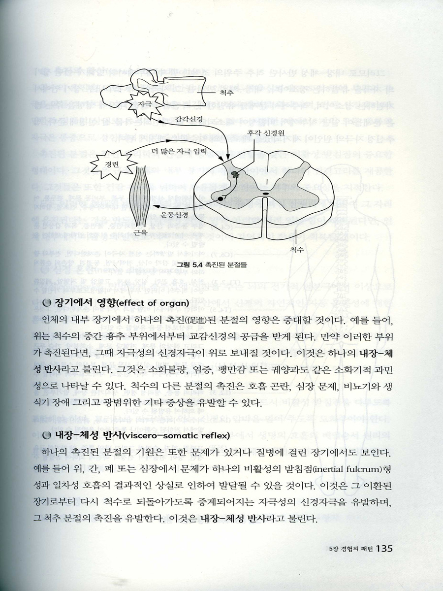 인체의 내적 지혜 건강의 필수요소인 두개천골 접근법