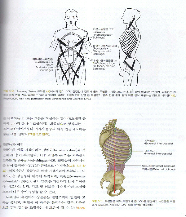 근막경선 해부학: 자세 분석 및 치료 3판(시리악스 정형의학연구회 )