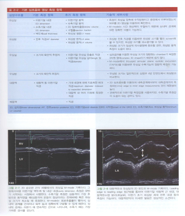 임상 심초음파 한 권으로 끝내기 Echocardiography Review Guide