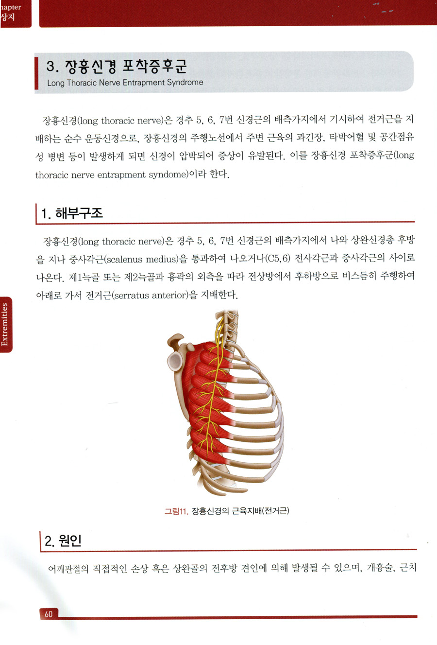 말초신경 약침의학