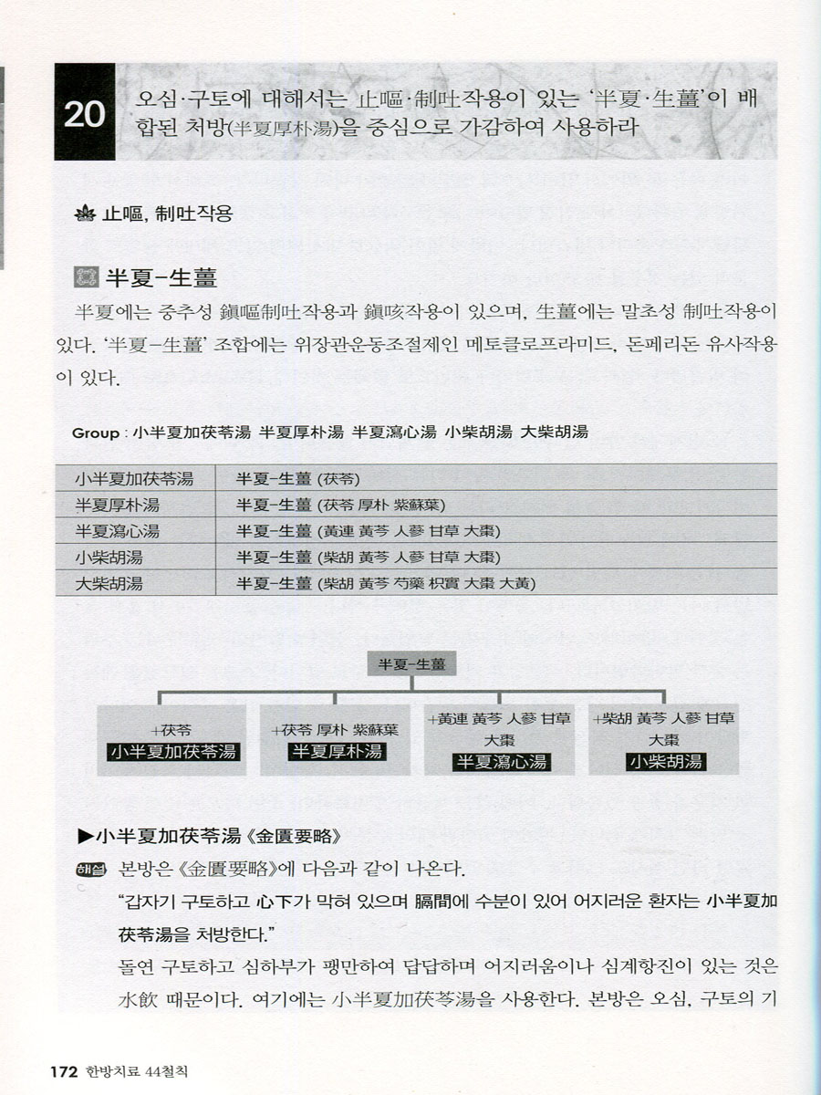 한방치료 44철칙 - 야마모토 이와오 선생에게 배우는 병태와 약물의 대응