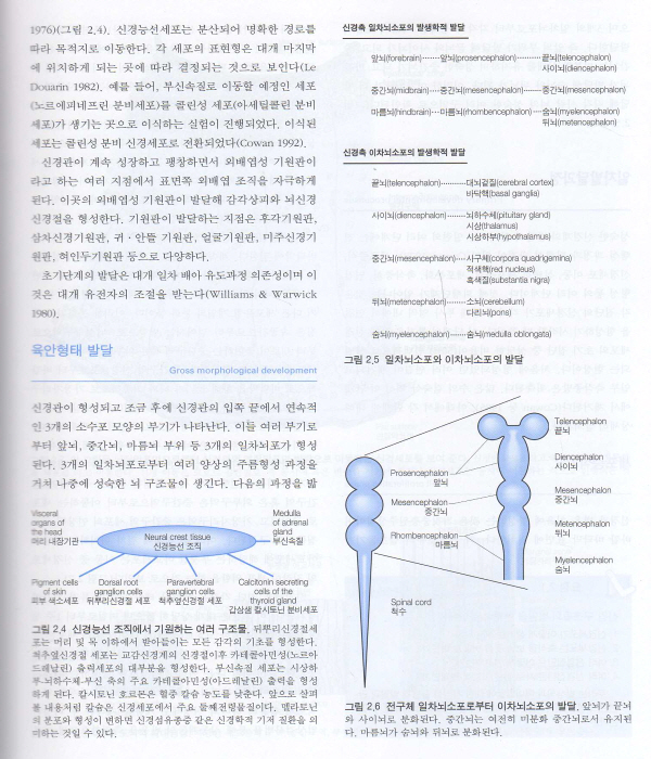 통합의학과 수기의학을 위한 - 기능신경학 (DVD1장포함 )