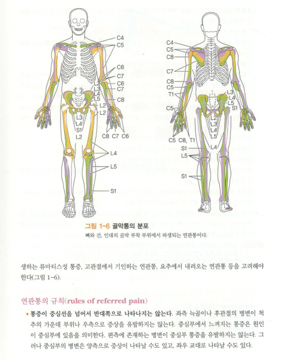 한의사를 위한 통증치료 매뉴얼 Part 1: 총론 상지