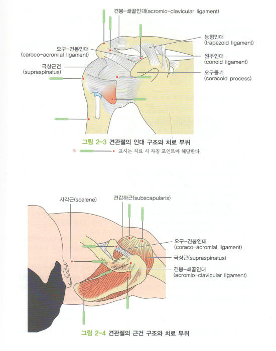 한의사를 위한 통증치료 매뉴얼 Part 1: 총론 상지