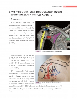 하룻밤에 끝내는 어깨통증 완치법