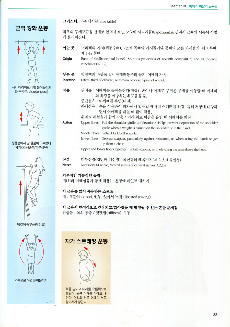 근골격해부학 2판