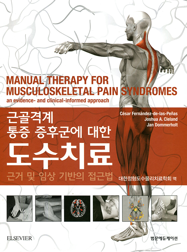 근골격계 통증 증후군에 대한 도수치료:근거 및 임상 기반의 접근법