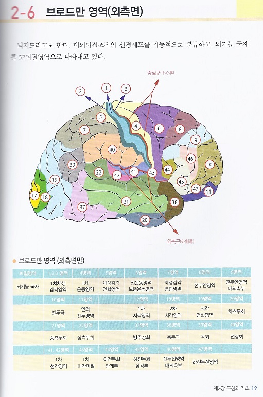 두침임상해부 MAP