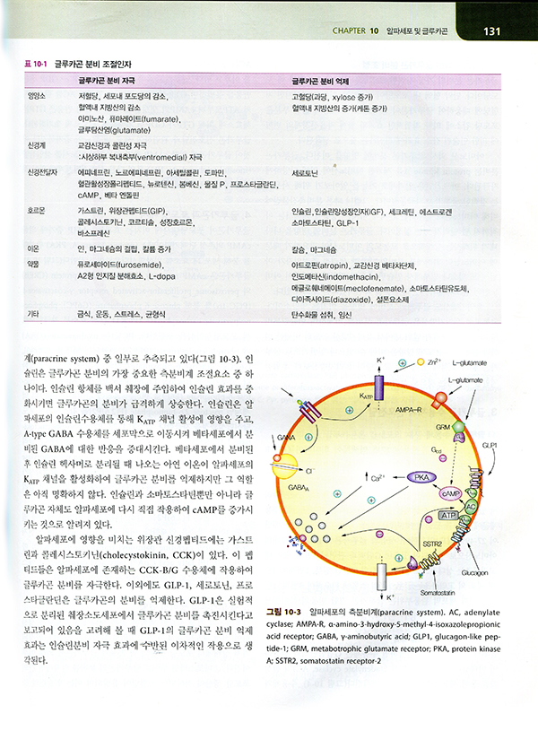 당뇨병학 5판