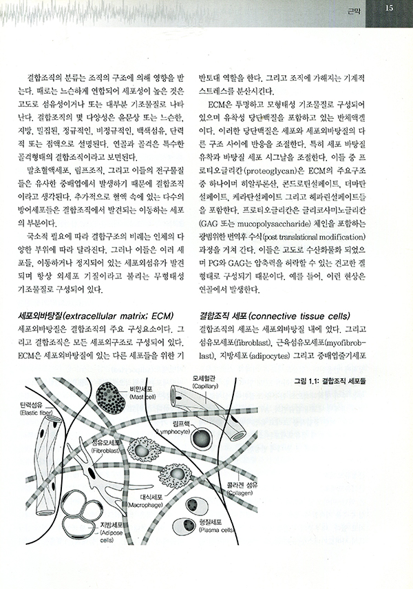 50세 이상을 위한  오스티오패스 치료   기능 유지와 장애 치료