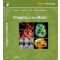 Imaging of the Brain, Expert Radiology Series 