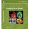 Imaging of the Brain, Expert Radiology Series 