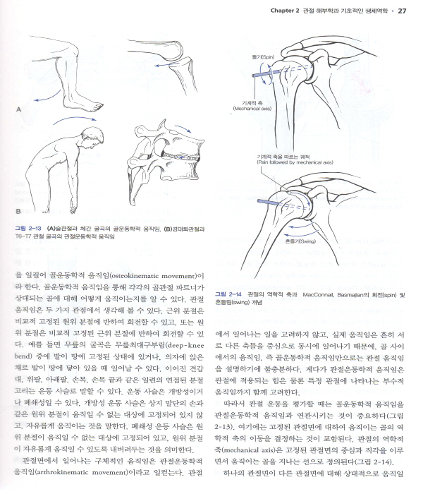 카이로프랙틱 테크닉 (3판)