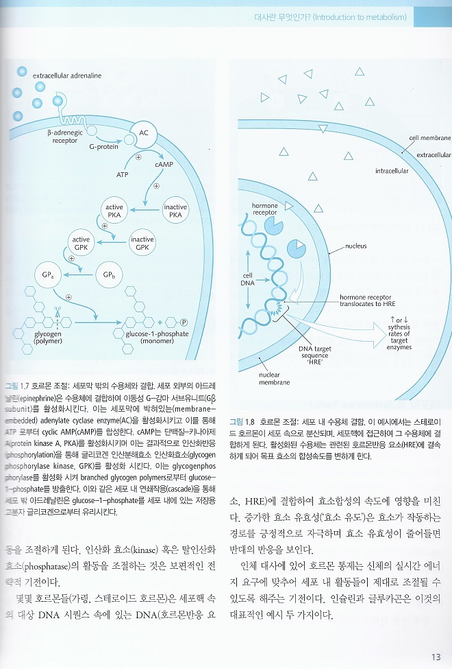 대사와 영양 (개원의를 위한) 