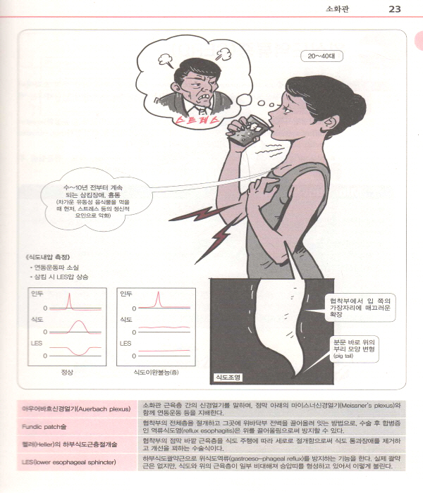 임상의학 핵심노트 - 그림으로 배우는