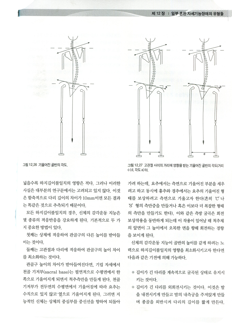 구조적 체요법-근막이완요법과 도수치료