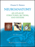 Neuroanatomy: An Atlas of Structures, Sections, and Systems, 8/e