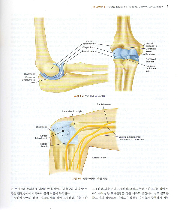 주관절경과 수근관절경(AANA Advanced Arthroscopy:The Elbow and Wrist)  DVD