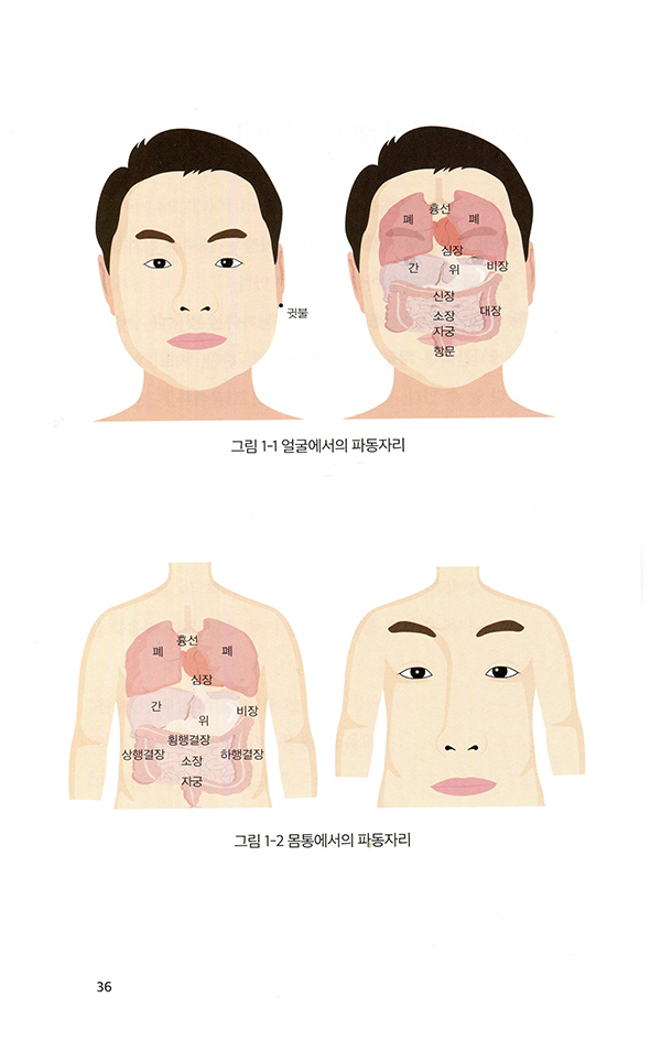 남창규 박사가 쓴 인체파동원리 (원리편)