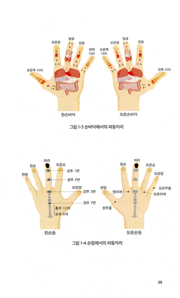 남창규 박사가 쓴 인체파동원리 (원리편)