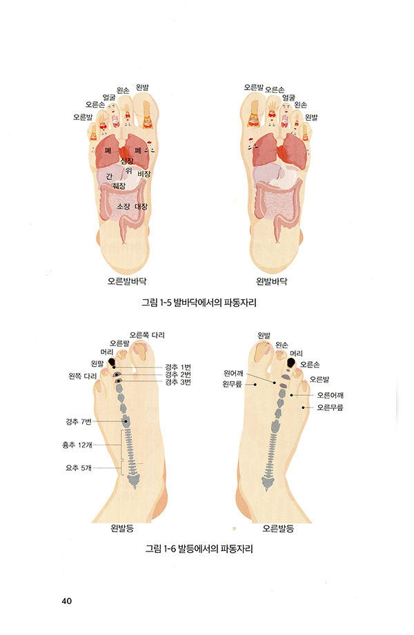 남창규 박사가 쓴 인체파동원리 (원리편)