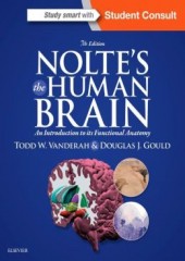 Nolte's The Human Brain, 7/e 