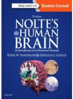 Nolte's The Human Brain, 7/e 