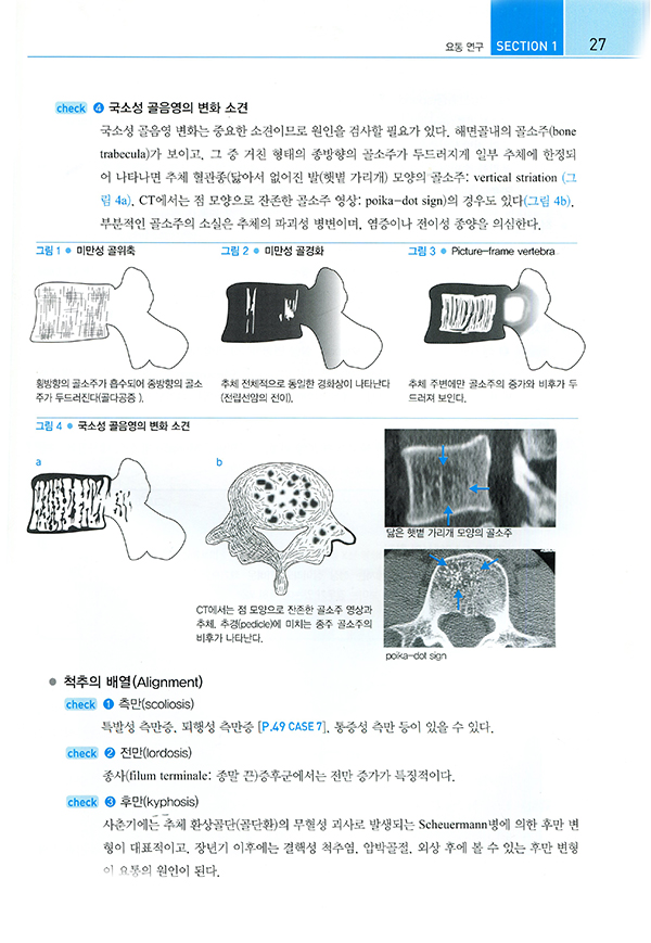 개원의를 위한 허리통증치료