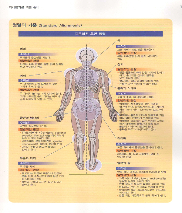 자세평가 치료사를 위한 지침서