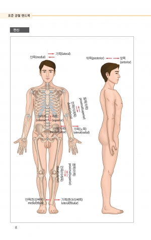 표준경혈 핸드북